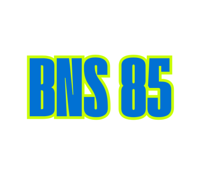 bns_85_20250810_212827_0000.png